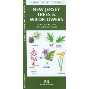  Folding Pocket Guide   New Jersey Trees & Wildflowers 