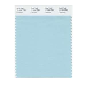  PANTONE SMART 12 4608X Color Swatch Card, Clearwater: Home 