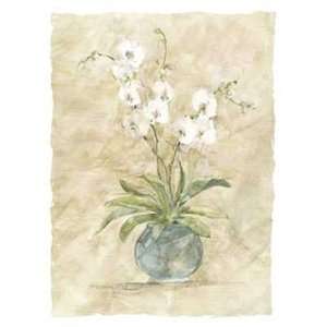  White Orchids I Finest LAMINATED Print Elizabeth Brownd 