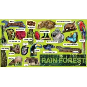 Rainforest Plants & Animals Mini Bulletin Board: Teachers 