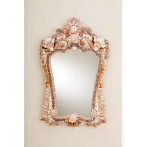  Currey and Company 1344 Beachcomber Mirror, Natural Shell 