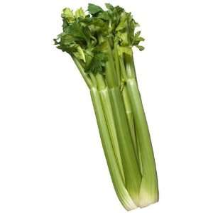  400+ Utah 52 70 Celery Seeds The best Celery to Grow 