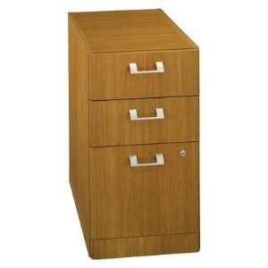   Drawer Vertical Wood File Cabinet in Modern Cherry: Electronics