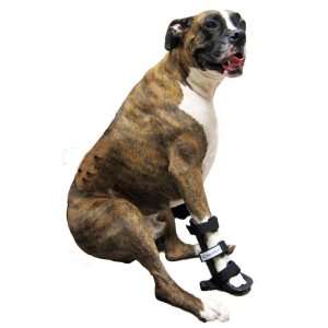  Walkin Wheels Front Leg Dog Splint Size: XXSmall: Pet 