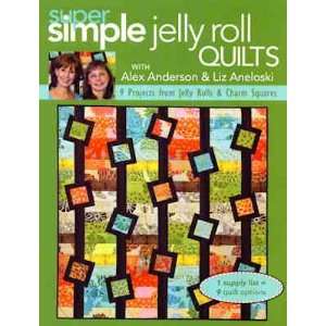  13538 BK Simple Jelly Roll Quilts With Alex Anderson & Lis 