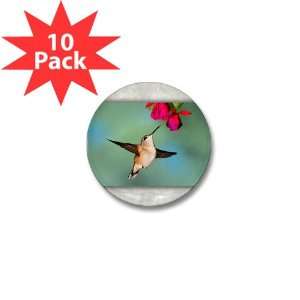    Mini Button (10 Pack) Black Chinned Hummingbird: Everything Else