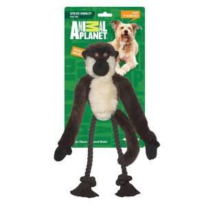  Animal Planet Dog Toy, Spider Monkey, Large: Pet Supplies