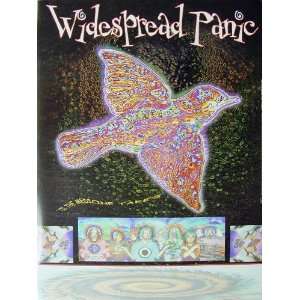  Widespread Panic   Til The Medicine Takes   Poster   Rare 