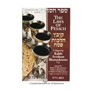 Book The Laws Of Pesach 5771 2011 Passover Guide by Rabbi Blumenkrantz 