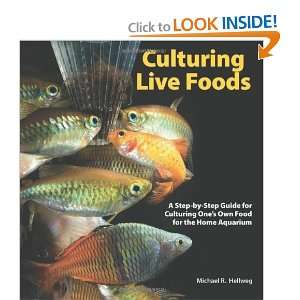  Culturing Live Foods: A Step by Step Guide for Culturing 