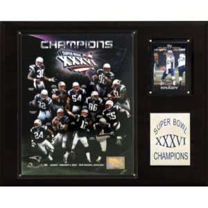  NFL Patriots Super Bowl XXXVI Champions Plaque Sports 