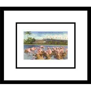  Flamingos, Hialeah Race Tack, Florida Styles Framed Art 