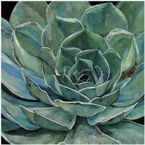 com Jill Barton 35W by 35H  Agave Flower CANVAS Edge #5 3/4 L&R 