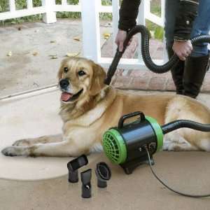  Dryer  Grooming Equipment   Groomer Supply   Cat Dryer   Dog Groomer 