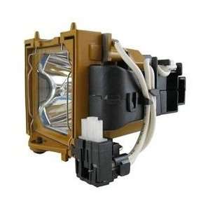  Electrified LS5000 LS 5000 Replacement Lamp with Housing 