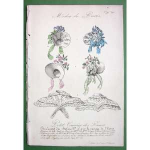  VICTORIAN Fashion from Paris Ladies Hats Embroidered Tulle 