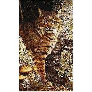 Carl Brenders   Forest Sentinel Bobcat 
