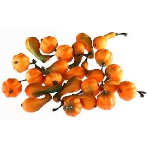 48 Miniature Artificial Fall Harvest Pumpkins and Gourds 