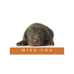  Postcards Absentee Miss You (Pup) (Package of 25 