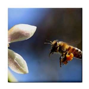    Honey Bee Ceramic Tile Coaster Great Gift Idea: Office Products