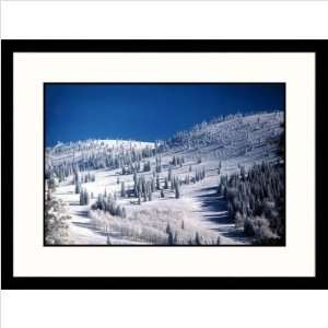   Framed Photograph   Pat Canova Frame Finish Black, Size 23 x 30