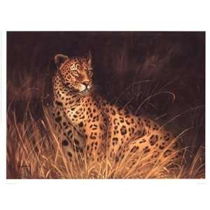  Spotted African Cat by Kilian 17x13