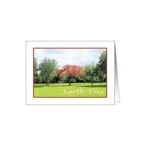  Earth Day, Flame Tree in the Park Card Health & Personal 