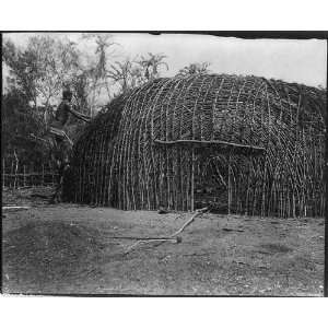   Building a kraal, Zululand,1898, by Benjamin S. Agnew