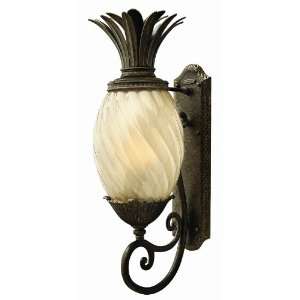 Hinkley Lighting 2124PZ Plantation Large Wall Outdoor Pearl Bronze