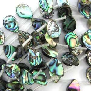  10x14mm abalone shell flat teardrop beads 16 strand