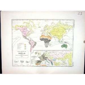   Antique Map 1856 Ethnographic World Races Man Europe