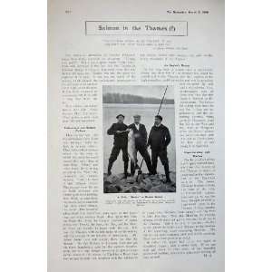  1906 Atherstone Fox Hunting Hounds Danube Salmon Fish 