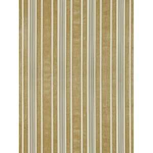   Sch 64790 Warwick Velvet Stripe   Sage Fabric: Arts, Crafts & Sewing
