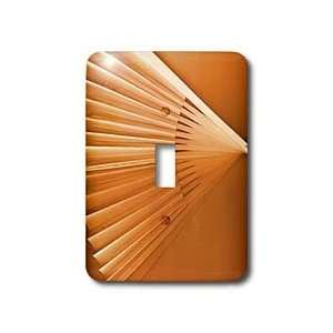 Florene Decorative   Orange Fan   Light Switch Covers   single toggle 