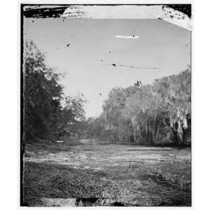  Civil War Reprint Hilton head Island, South Carolina. Mud 
