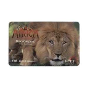   of Africa   Lion: Busch Gardens (Tampa Bay, Florida): Everything Else
