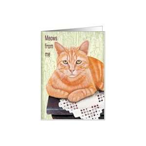  Orange Tabby Cat   Meows from me   Notecard Card: Health 