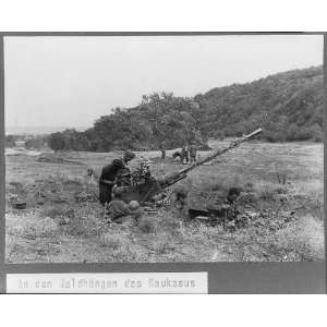  Anti aircraft unit at edge of woods,Caucasus,Artillery 