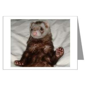  Ferret Cafe Pets Greeting Cards Pk of 10 by  