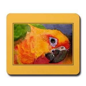  Sun Conure Parrot Pets Mousepad by CafePress: Office 
