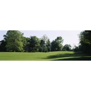  Trees on a Golf Course, Woodholme Country Club, Baltimore, Maryland 