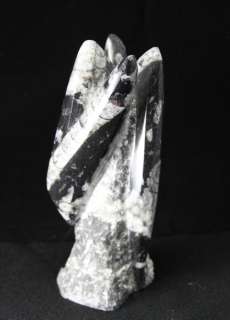 Orthoceras Fossil on Rock Sculpture 3 x 7.25in  