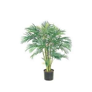  4 Areca Palm Tree Pre Potted