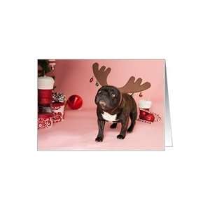  Brindle French Bulldog Christmas Card Card: Health 