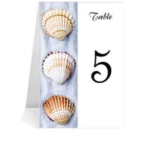  Wedding Table Number Cards   Three Shells Shine #1 Thru 