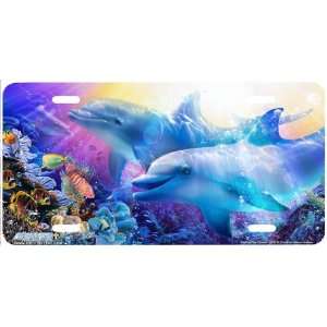 4075 Believe the Dream Dolphin License Plate Car Auto Novelty Front 