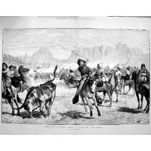  1875 Driving Cattle Corral Nebraska Horses Cowboys