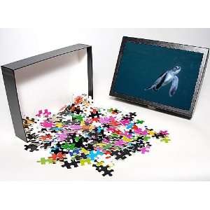  Jigsaw Puzzle of Green Turtle, juvenile   New green turtle hatchling 