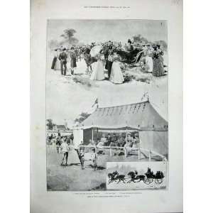  1896 Sale Sandringham Herd Cattle Horse Carriages Print 