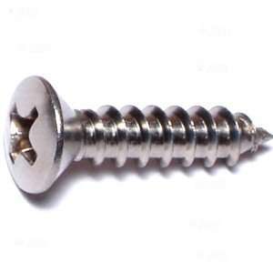   Phillips Oval Sheet Metal Screw (25 pieces): Home Improvement